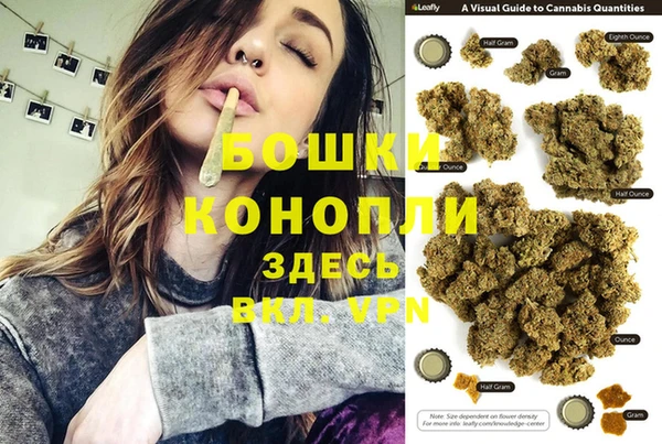 spice Алзамай