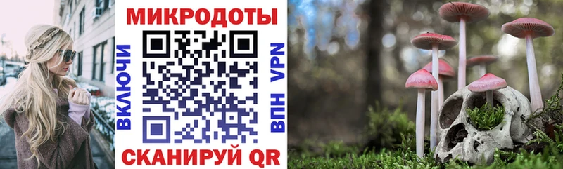 Псилоцибиновые грибы Psilocybine cubensis  где купить наркоту  Буй 